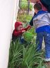100_1643.JPG