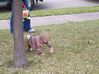 100_1648.JPG