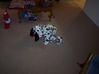 100_4889.JPG