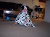 100_4890.JPG