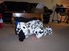 100_4893.JPG