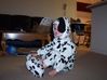 100_4894.JPG