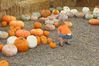 DSC01192.JPG