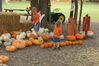 DSC01193.JPG