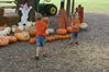 DSC01194.JPG