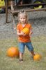 DSC01214.JPG