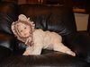DSC04905 (Small).jpg